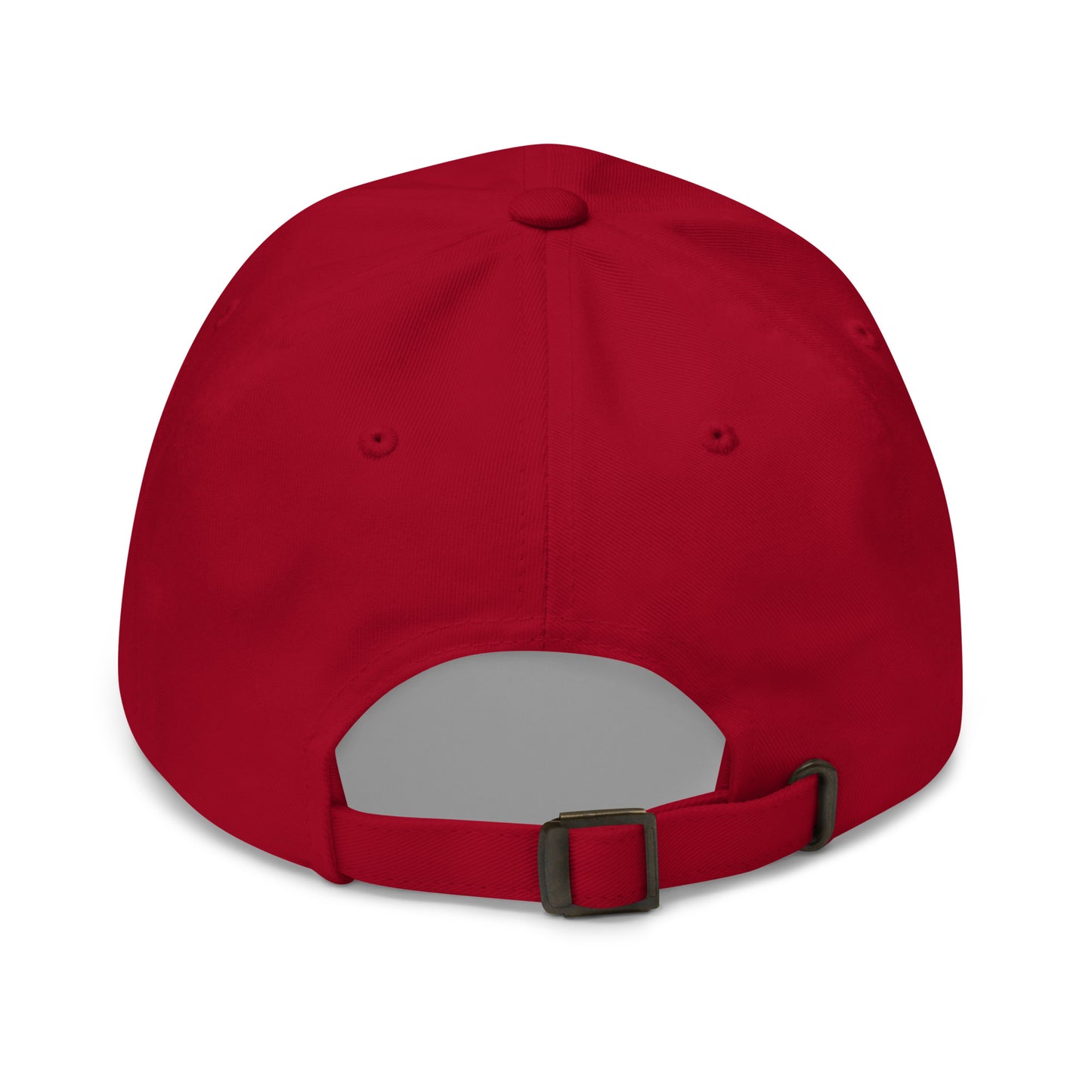 Only Accepting Good Vibes and Tequila Hat (Emboidered Dad hat)