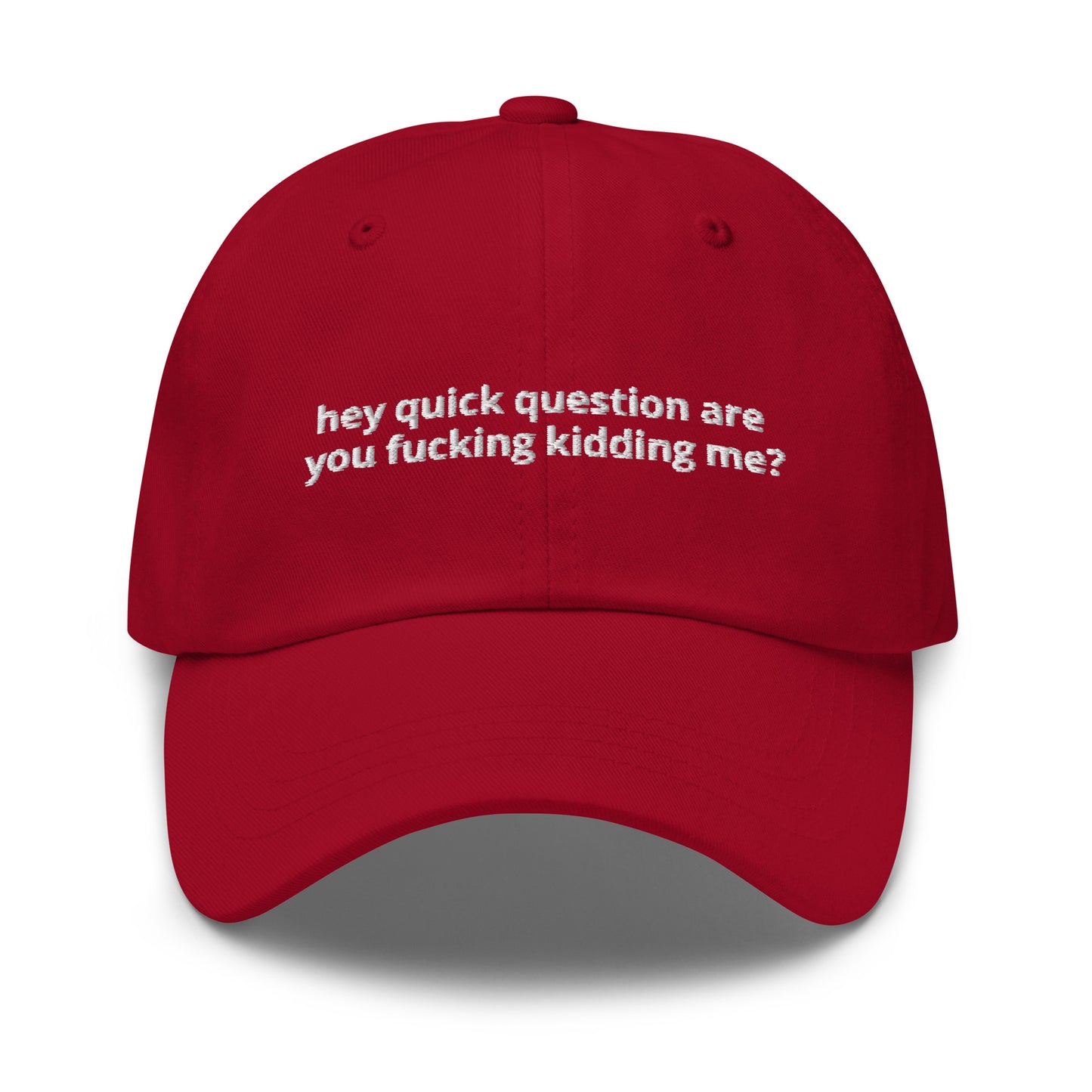 Hey Quick Question Are You Kidding Me? Hat (Embroidered Dad hat)