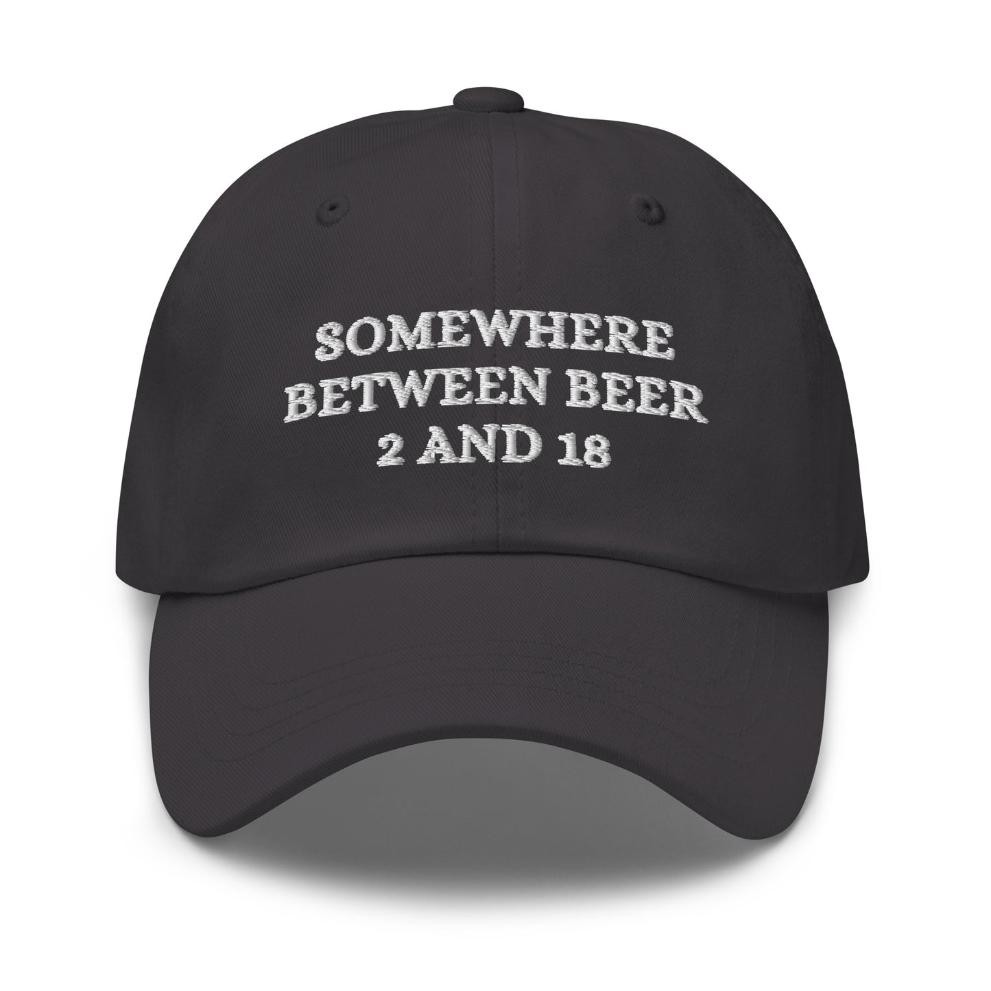 Somewhere Between Beer 2 and 18 Hat (Embroidered Dad hat)