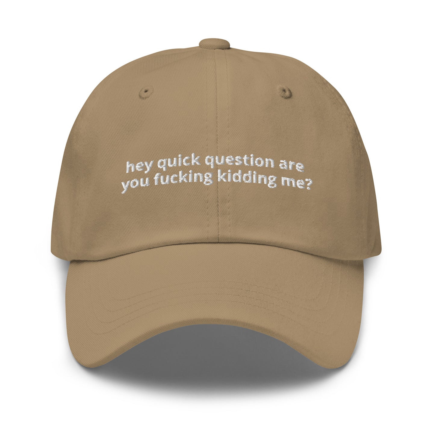 Hey Quick Question Are You Kidding Me? Hat (Embroidered Dad hat)