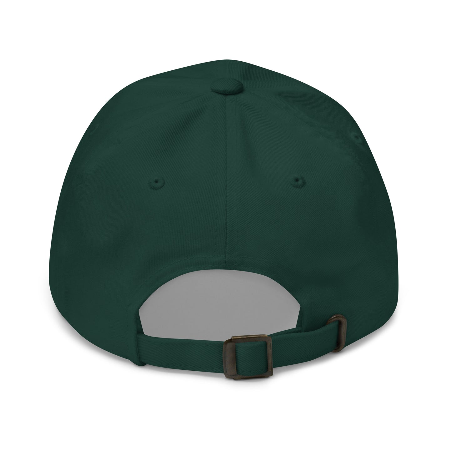 Only Accepting Good Vibes and Tequila Hat (Emboidered Dad hat)