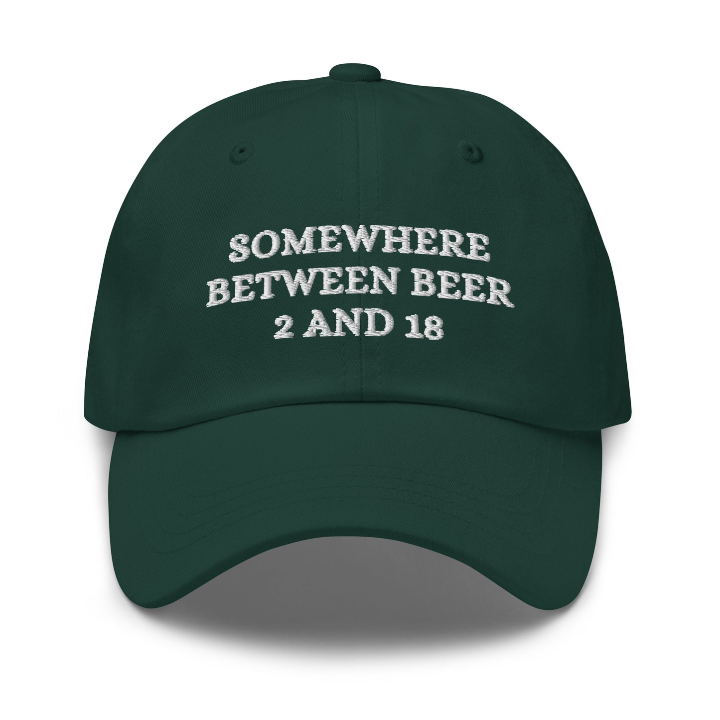 Somewhere Between Beer 2 and 18 Hat (Embroidered Dad hat)