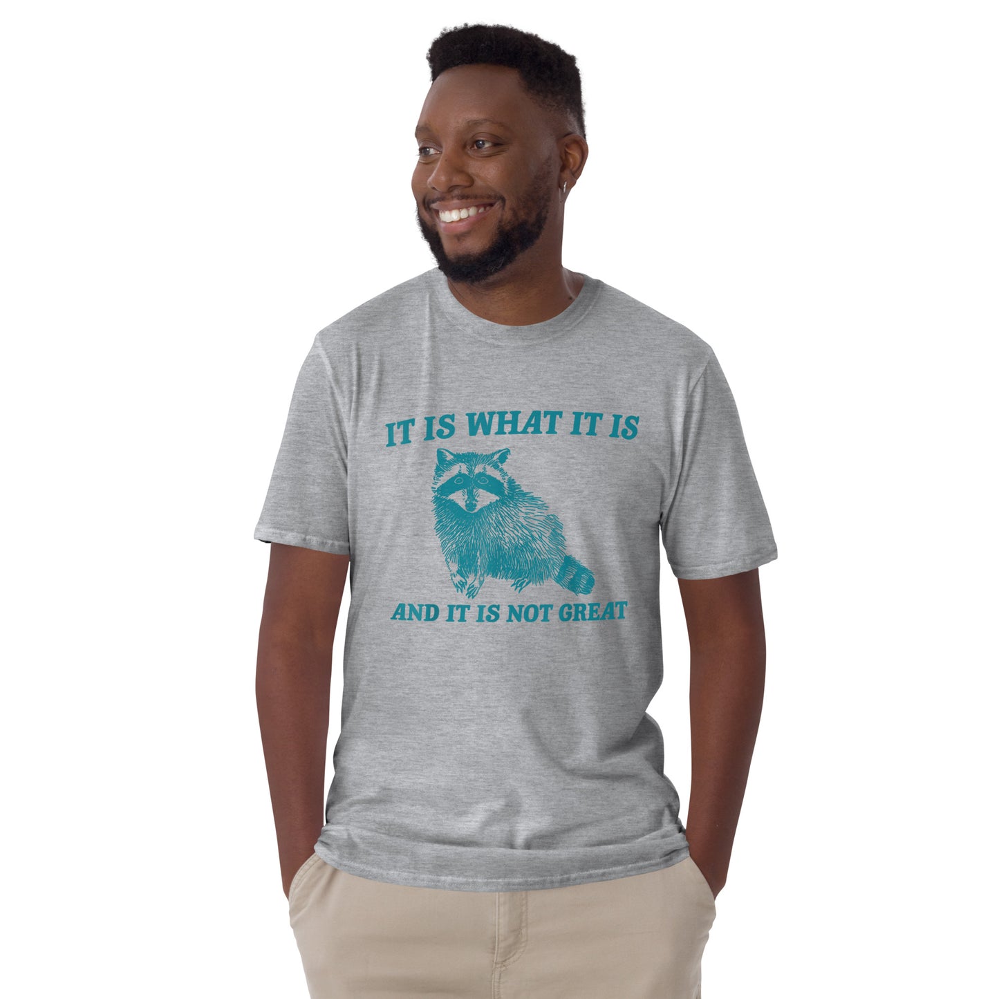 It Is What It Is And It Is Not Great Raccoon T-Shirt