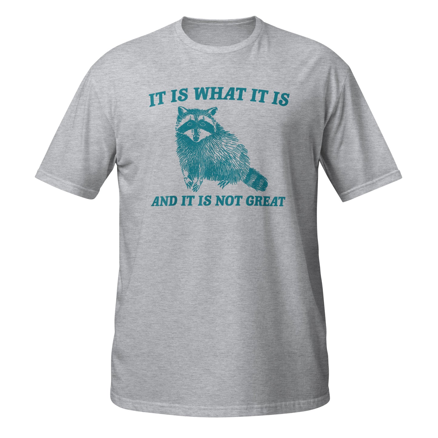 It Is What It Is And It Is Not Great Raccoon T-Shirt
