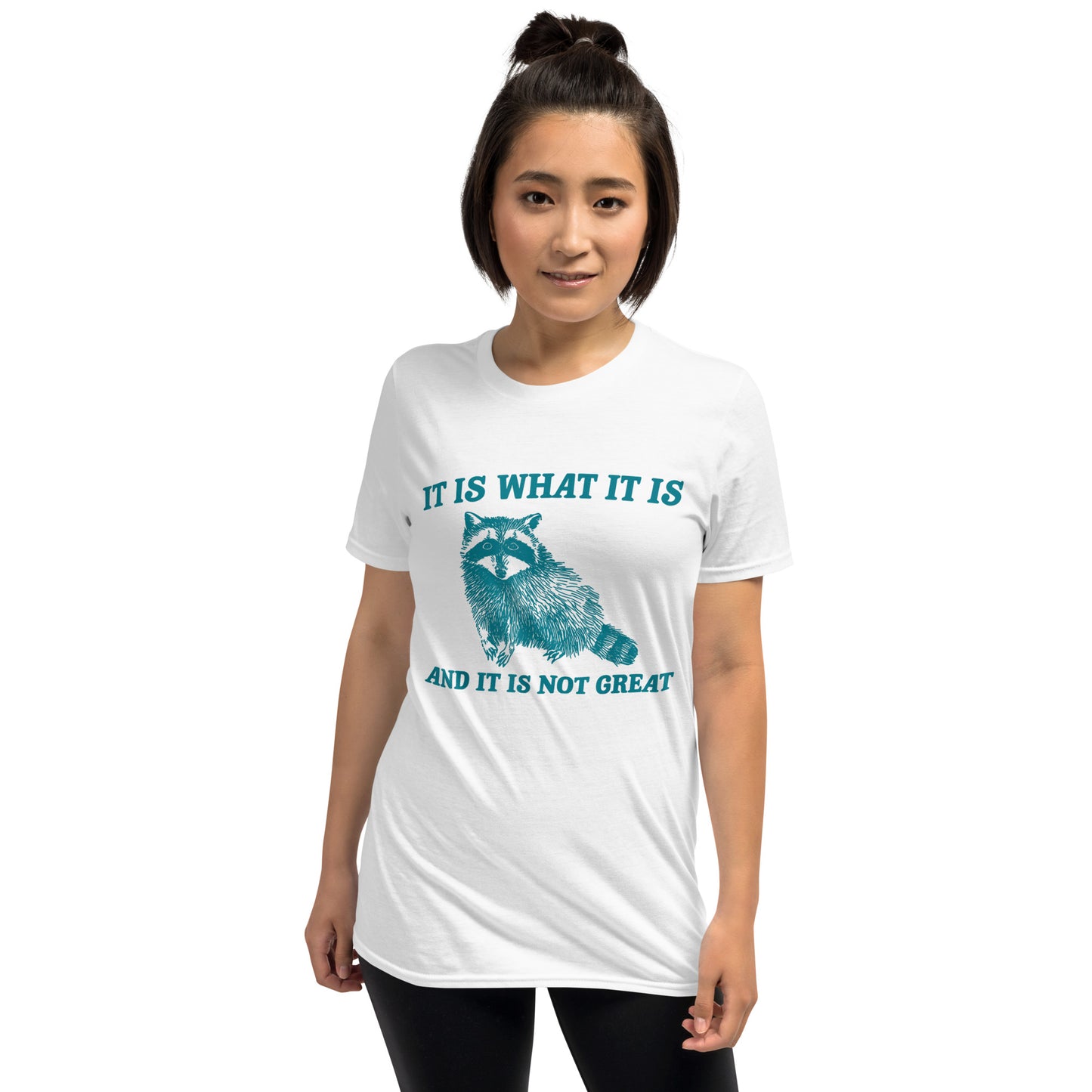 It Is What It Is And It Is Not Great Raccoon T-Shirt