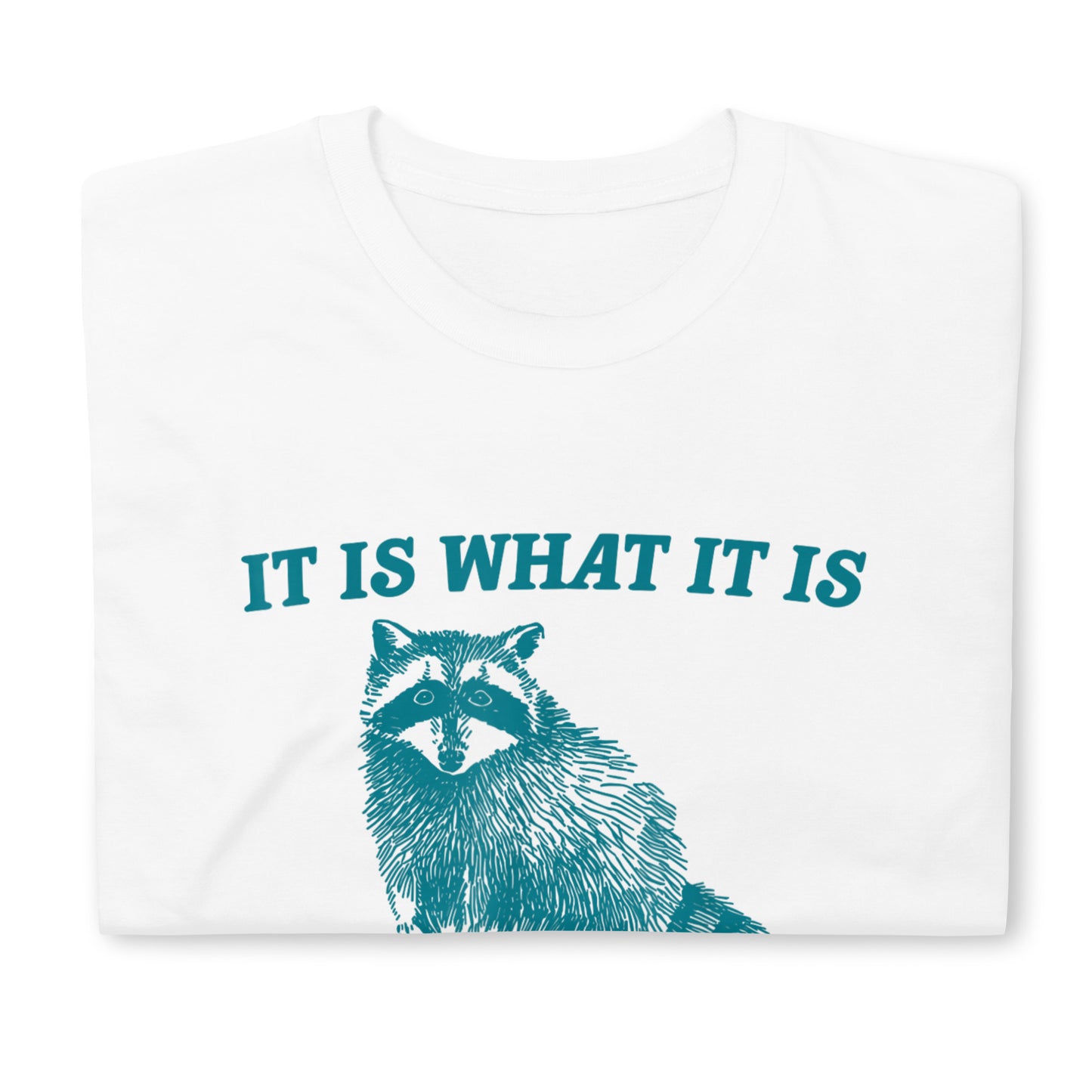 It Is What It Is And It Is Not Great Raccoon T-Shirt