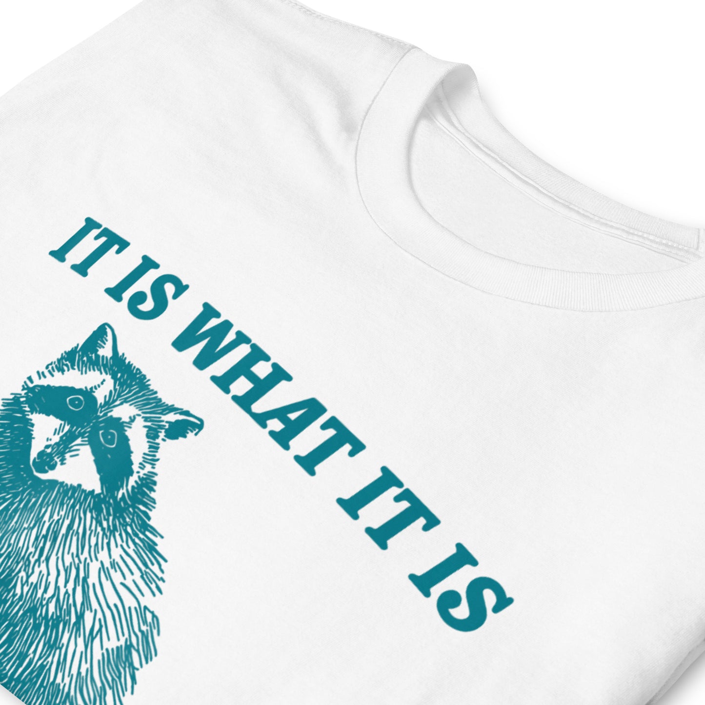 It Is What It Is And It Is Not Great Raccoon T-Shirt