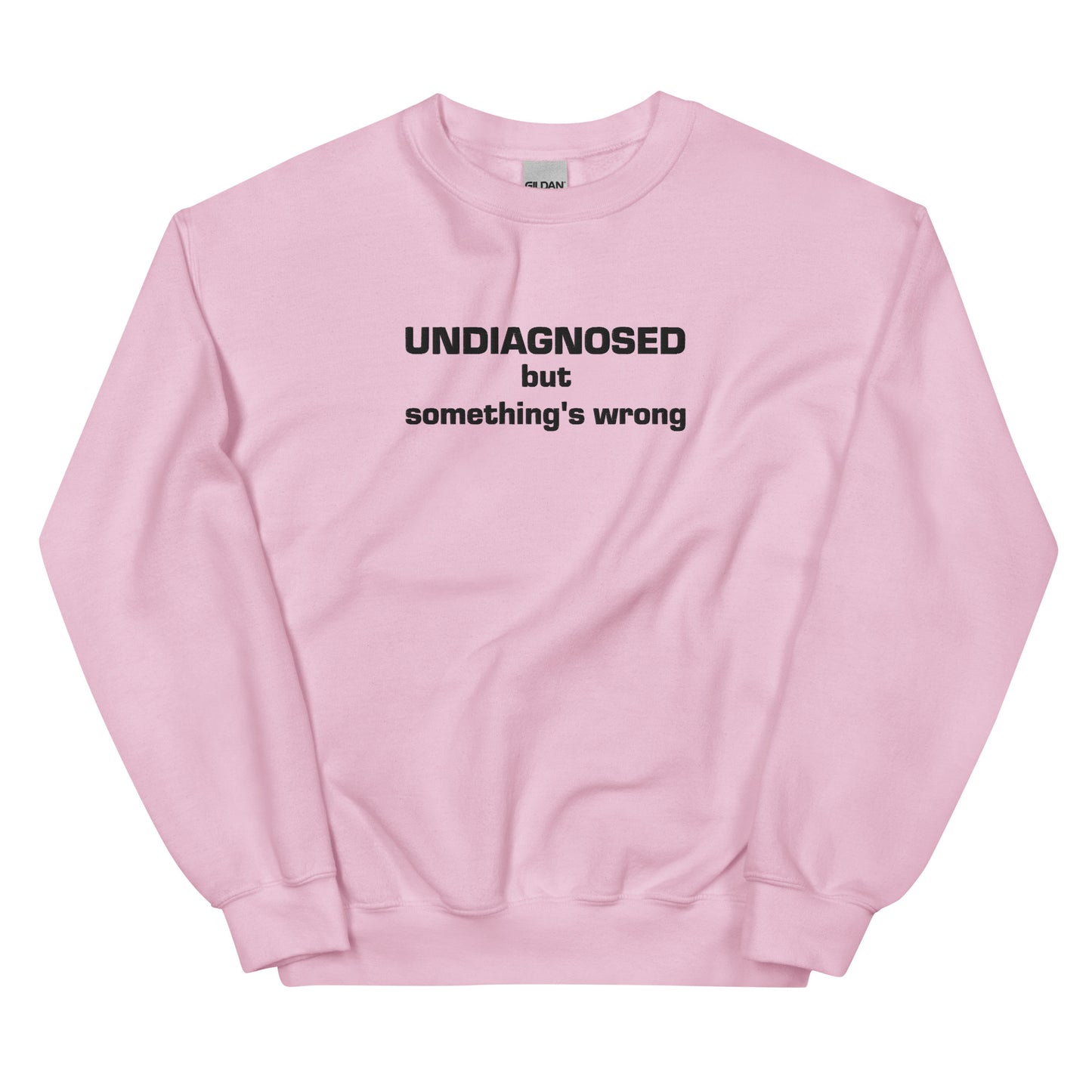 Undiagnosed Embroidered Sweatshirt