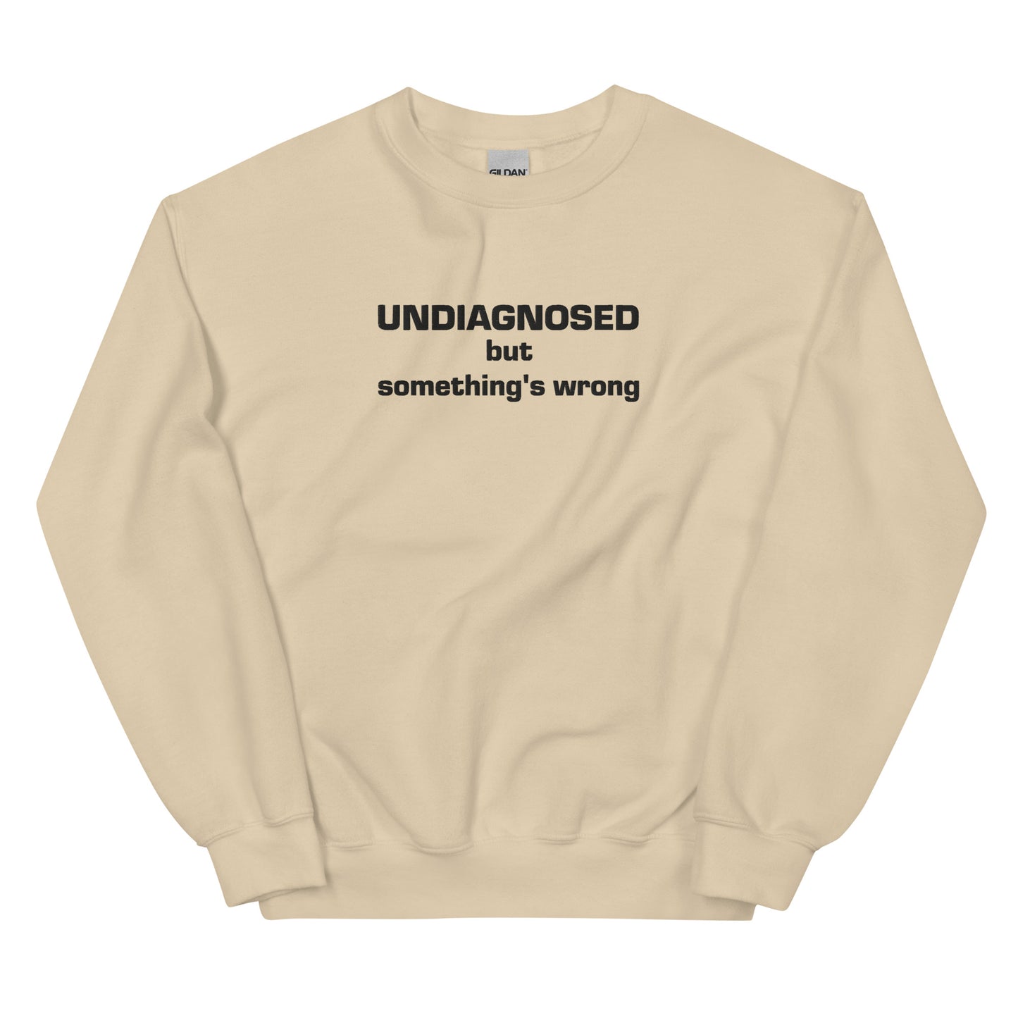 Undiagnosed Embroidered Sweatshirt