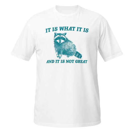 It Is What It Is And It Is Not Great Raccoon T-Shirt