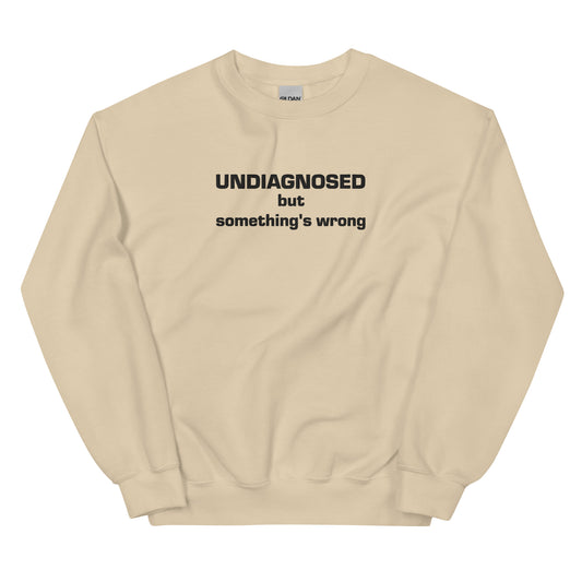 Undiagnosed Embroidered Sweatshirt